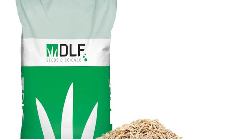 Тръстиковидна власатка - Festuca Arundinacea